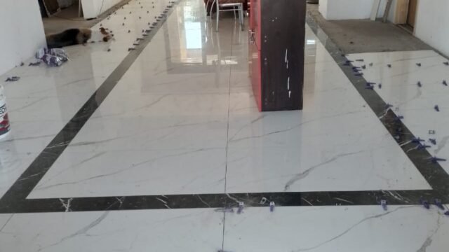 WhatsApp Image 2026-02-10 at 11.49.34 AM (1)